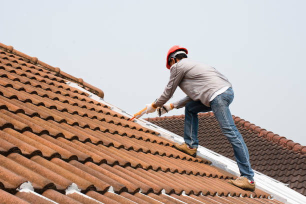 Best Roof Repair  in Knollwood, IL